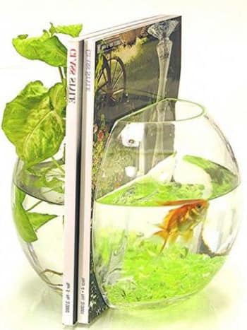 Круглый аквариум-держатель для книг
