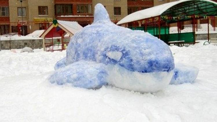 Синий кит из снега своими руками