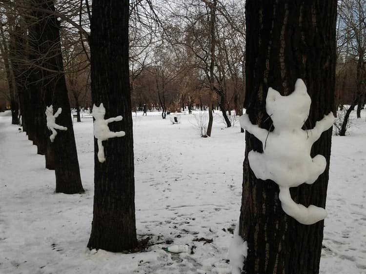Милые снеговички - маленькие котики на деревьях