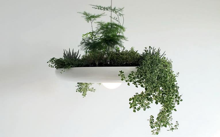 Подвесной сад: светильник и горшок для комнатных растений одновременно