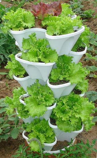 Пластиковая вертикальная грядка с салатом