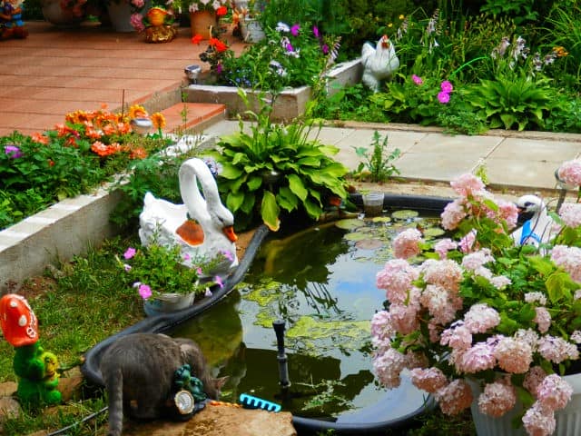 Украшаем пруд в саду фото
