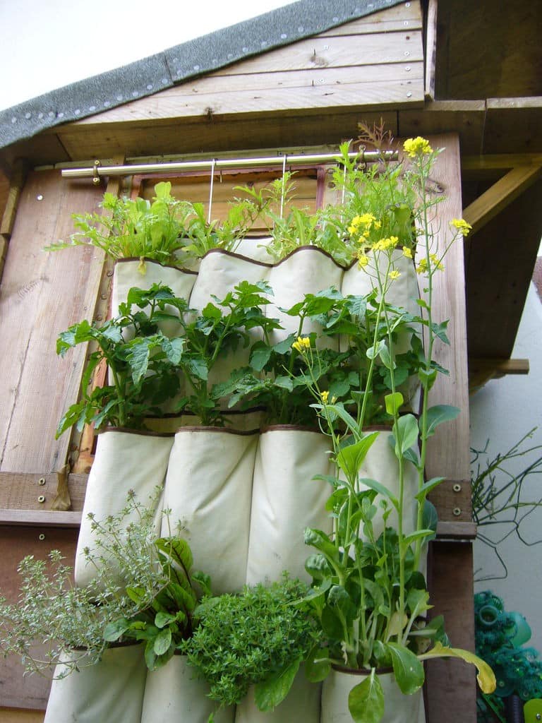Подвесной сад в кармашках на даче - выращиваем зелень