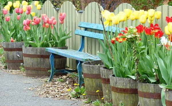 Яркая скамейка в уголке отдыха в саду