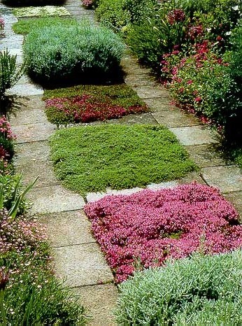 Цветущая комбинированная садовая дорожка из камня