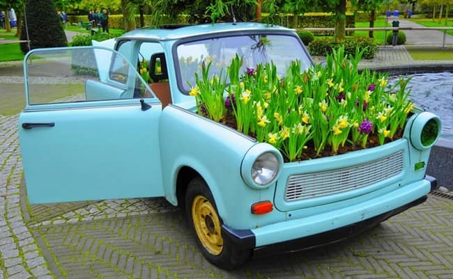 Сажаем цветы под капотом автомобиля: клумба из машины