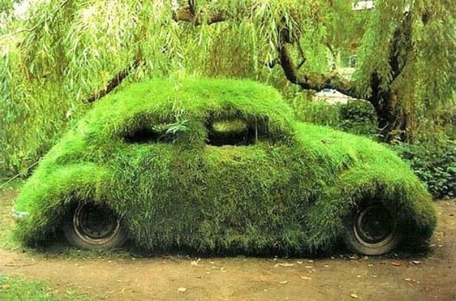 Клумба из машины: зеленый холм травы