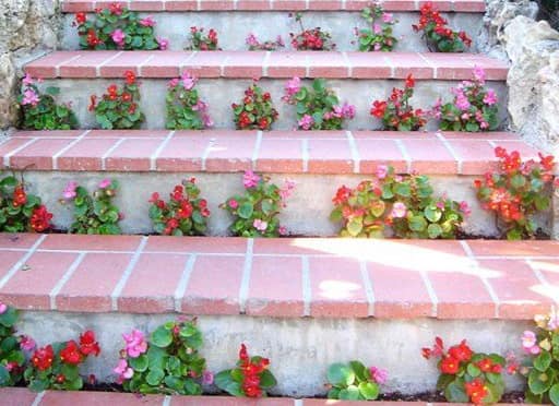 Цветы между ступенек - лестница для сада в деревенском стиле