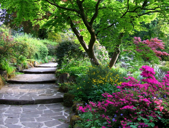 Лестница с широкими ступенями для украшения небольшого склона в саду