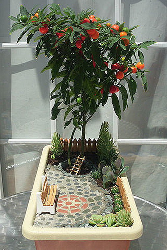 Миниатюрный сад с деревом с плодами