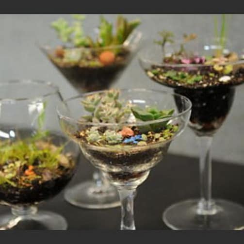 Миниатюрные сады в бокалах
