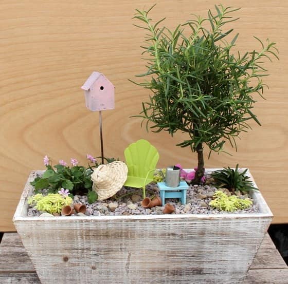 Миниатюрный сад в ящике - живые растения и аксессуары