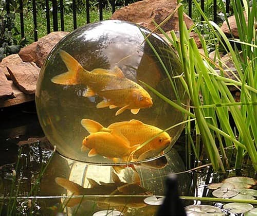 Садовый аквариум сфера для декора сада