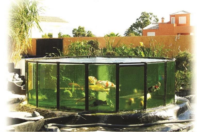 Большой садовый аквариум с рыбками