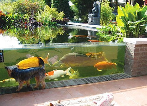 Садовый аквариум своими руками фото
