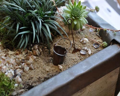 Аренарий в миниатюре: выбор растений
