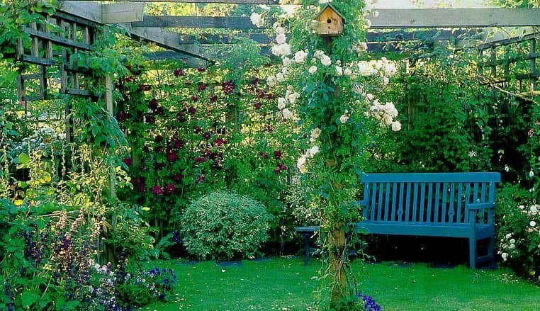 Уголок отдыха с плетистыми розами в саду