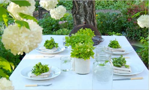 Букеты из столовой зелени - украшение стола для пикника