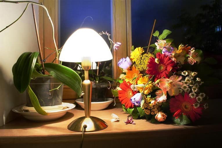 Простой декор окна и подоконника: торшер и цветы