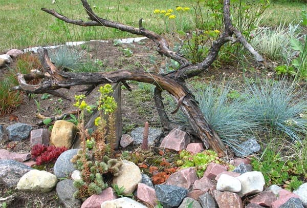 Рутарий - используем коряги и корни для украшения сада фото