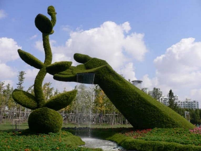 Топиарий фонтан: скульптуры из растений