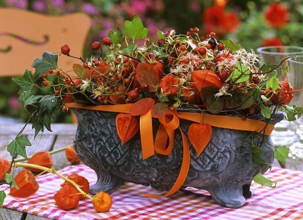 Физалес и ягоды в осеннем декоре