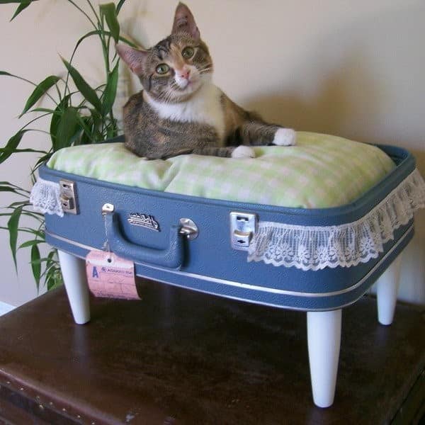 Кроватка для кошек из старого чемодана