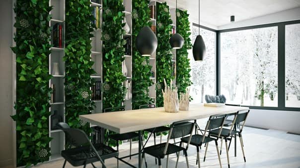 Вертикальное озеленение помещения