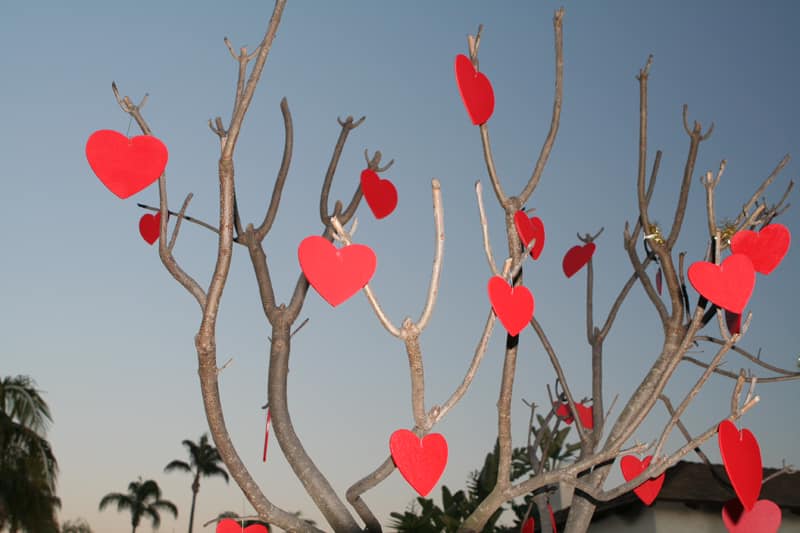 Самодельный декор дома и подарки на день святого Валентина - новые идеи и фото