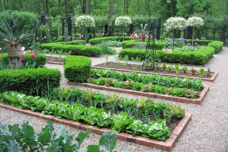 Современный огород и его дизайн: красивые грядки на вашей даче (35 фото) - DecorWind