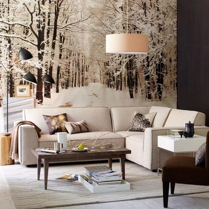 Зимний интерьер: уютный и теплый дизайн квартиры для холодного времени года (35 фото)