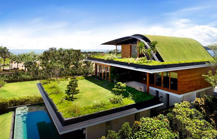 зеленая крыша